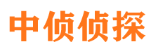 眉山市调查公司